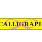 CALLIGRAPH TN-2456 / TN-2550 MUADİL TONER 3.000 Sayfa